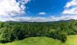 323 Lone Chimney Drive - Photo 45