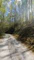 11 Captiva Mountain Drive - Photo 3