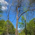11 Captiva Mountain Drive - Photo 4