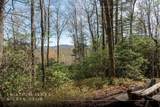 Lot 4 Trillium Ridge Road - Photo 1