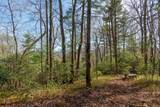 Lot 4 Trillium Ridge Road - Photo 11