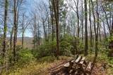 Lot 4 Trillium Ridge Road - Photo 12