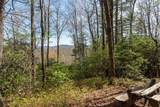 Lot 4 Trillium Ridge Road - Photo 13