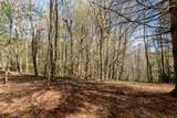 Lot 4 Trillium Ridge Road - Photo 8