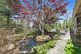 125 Pines Road - Photo 52