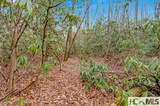 Lot 21 Hardscrabble Ridge - Photo 12