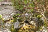 1411 Flat Mountain Road - Photo 10