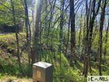 0 Pipetrack Gap Road - Photo 10