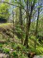 0 Pipetrack Gap Road - Photo 11