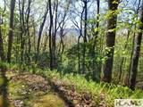 0 Pipetrack Gap Road - Photo 4