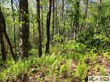 0 Pipetrack Gap Road - Photo 5