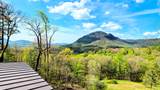 54 Forestland Road - Photo 45