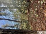 168 Plateau Ridge - Photo 4