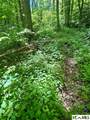 1 Highway 107 Highway - Photo 5