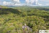 521 Sheepcote Road - Photo 93