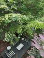 4594 Dillard Road - Photo 49