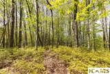 Lot 36 New Settler's Way - Photo 11