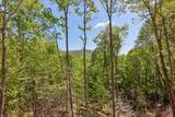 297 Easy Springs Road - Photo 58
