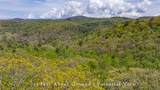 133 Horseshoe Bend Lane - Photo 15