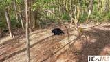 462 Bowery Road - Photo 28