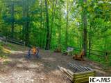 453 Macs Mountain Retreat Lane - Photo 87