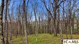 Lot 5 Misty Ridge Trail - Photo 13