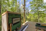 206 Sanctuary View Trail - Photo 14