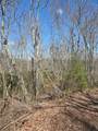 67 Wolf Knob Road - Photo 3