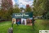 Lot B Edward Fowler Road - Photo 15