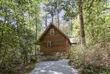 30 Wild Hog Trail - Photo 3