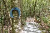 30 Wild Hog Trail - Photo 35
