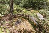 30 Wild Hog Trail - Photo 38