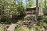 30 Wild Hog Trail - Photo 40