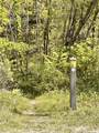 955 Big Bearpen Road - Photo 11