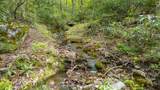 241 Lullwater Cove - Photo 42