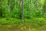 E-156 Buckhorn Way - Photo 13