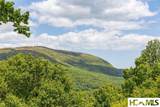 165 Birdnest Road - Photo 35