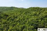 2572 Great Falls Drive - Photo 11