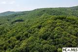 2572 Great Falls Drive - Photo 14