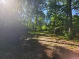 2572 Great Falls Drive - Photo 62