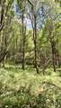 000 Cold Mountain Road - Photo 10