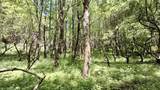 000 Cold Mountain Road - Photo 15