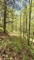 000 Cold Mountain Road - Photo 17