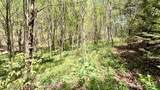 000 Cold Mountain Road - Photo 18