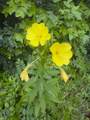 000 Cold Mountain Road - Photo 22