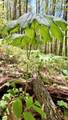 000 Cold Mountain Road - Photo 23