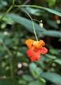 000 Cold Mountain Road - Photo 26
