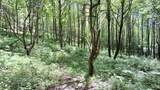 000 Cold Mountain Road - Photo 30