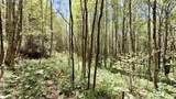 000 Cold Mountain Road - Photo 32