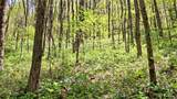 000 Cold Mountain Road - Photo 4